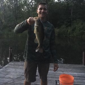 Meet your Posher, Riley